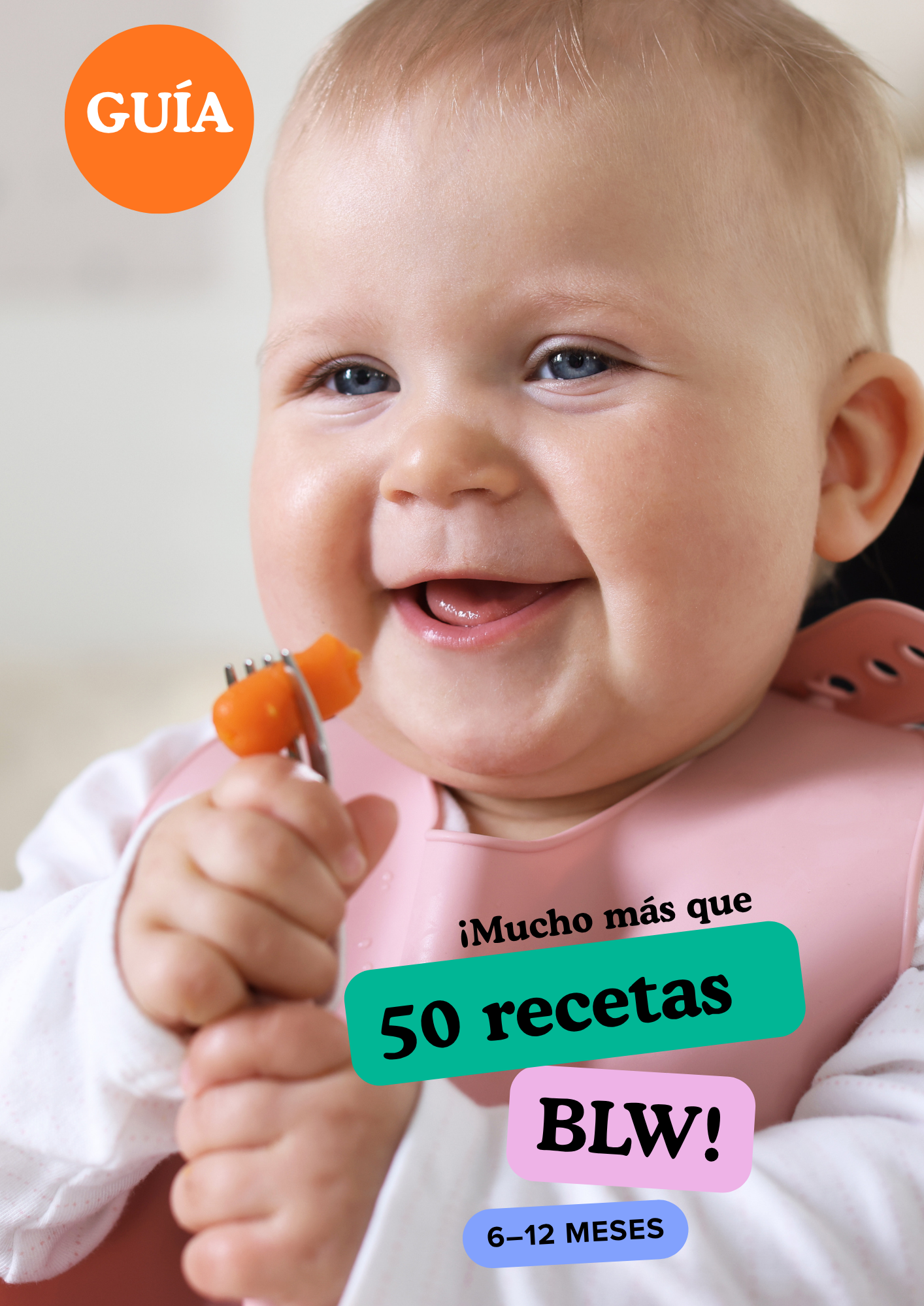 Guía Blw 50 Recetas 6-12 meses