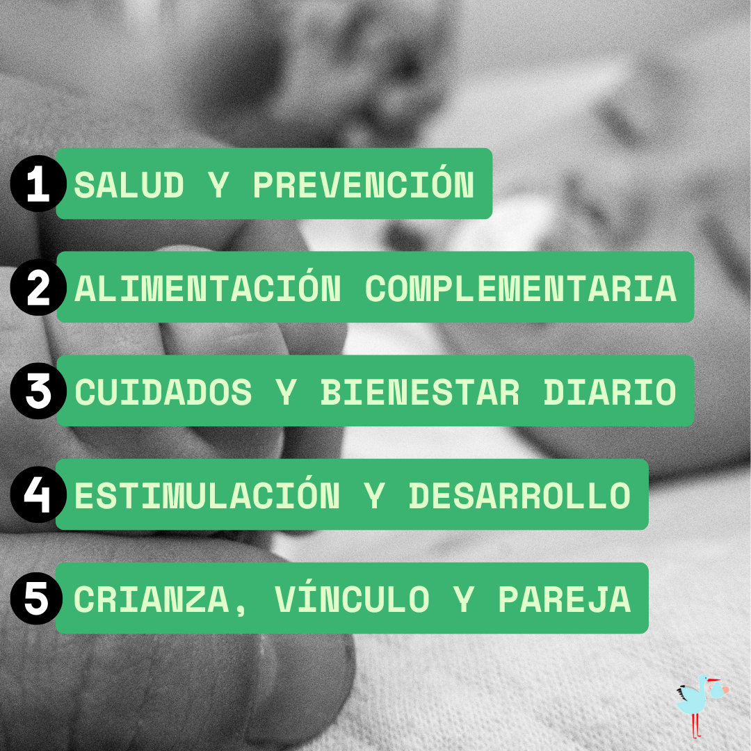 Guia primeros pasos