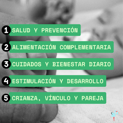 Guia primeros pasos