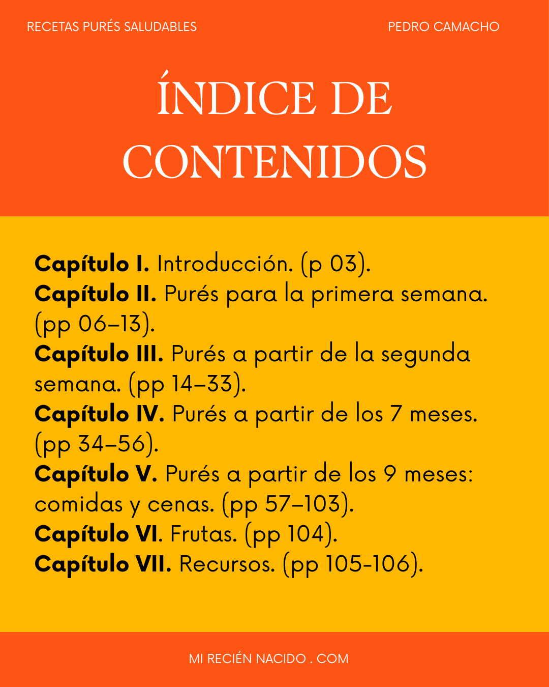 Guia de purés saludables alimentación complementaria
